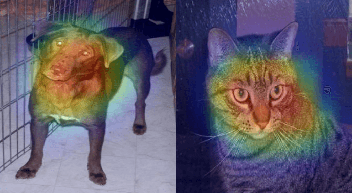 Mapeamento de Ativação de Classe Ponderado por Gradiente (Grad-CAM)